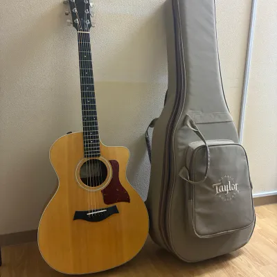 Taylar ギター